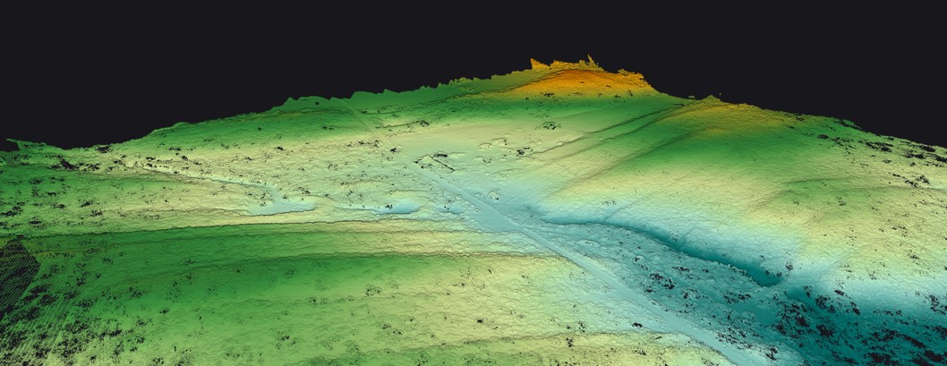 Forest Ground Elevation